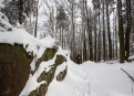 Český les V